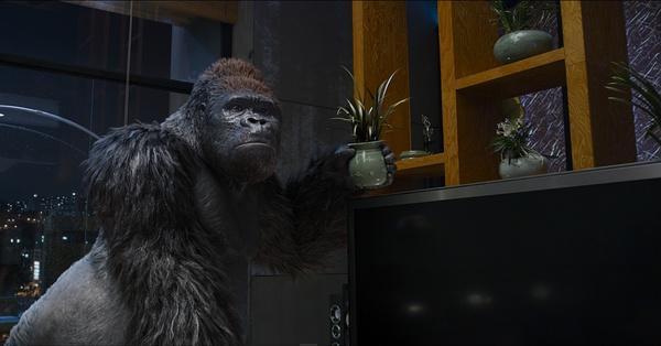 《大明猩》高清剧照