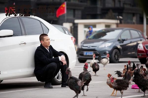 疯狂的导演高清剧照